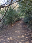 Enlarge photo 54