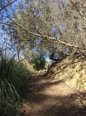 Enlarge photo 55