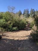 Enlarge photo 56