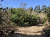 Enlarge photo 57