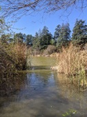 Enlarge photo 58