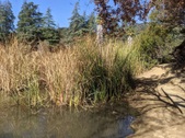 Enlarge photo 59