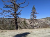 Enlarge photo 1