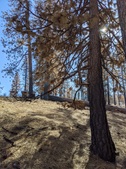 Enlarge photo 23