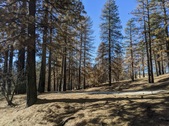 Enlarge photo 25