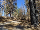 Enlarge photo 26
