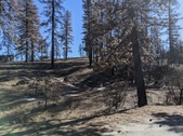 Enlarge photo 27