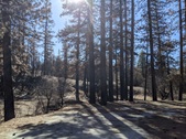 Enlarge photo 28