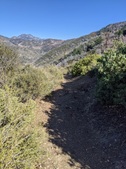 Enlarge photo 29