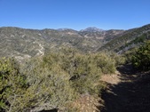 Enlarge photo 30