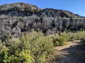 Enlarge photo 31
