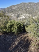 Enlarge photo 33