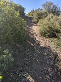 Enlarge photo 34