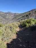 Enlarge photo 35
