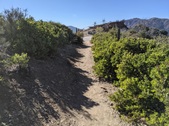 Enlarge photo 36