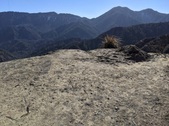 Enlarge photo 39