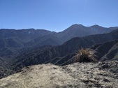 Enlarge photo 40