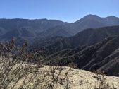 Enlarge photo 41