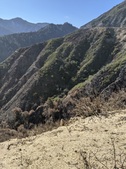 Enlarge photo 42