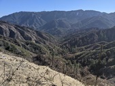 Enlarge photo 43