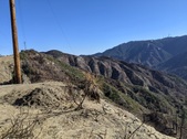 Enlarge photo 44