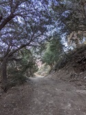 Enlarge photo 45