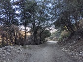 Enlarge photo 46