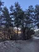 Enlarge photo 47