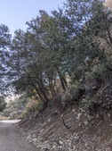Enlarge photo 48