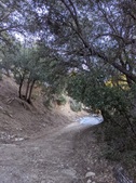 Enlarge photo 49
