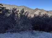 Enlarge photo 51