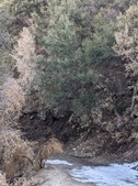 Enlarge photo 52