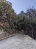 Enlarge photo 53
