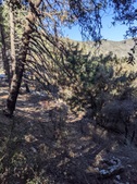 Enlarge photo 54