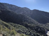 Enlarge photo 67