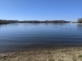 Enlarge photo 26