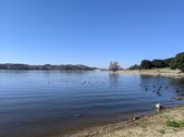 Enlarge photo 27