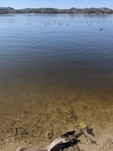 Enlarge photo 28
