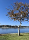 Enlarge photo 31
