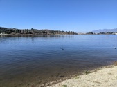 Enlarge photo 35