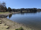 Enlarge photo 36