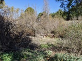 Enlarge photo 45