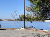 Enlarge photo 48