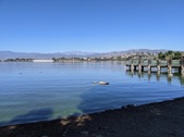 Enlarge photo 54