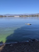 Enlarge photo 56
