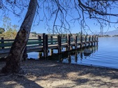 Enlarge photo 61
