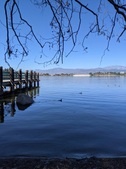 Enlarge photo 64