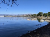 Enlarge photo 65