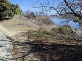 Enlarge photo 67