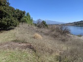 Enlarge photo 71